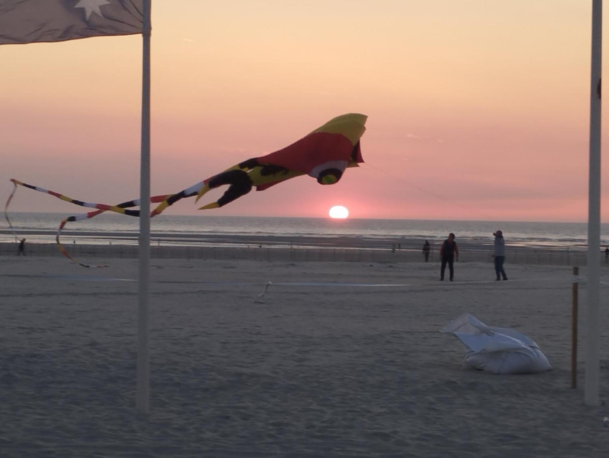 L'Alteia - L'Appartement Les Pieds Dans L'Eau Avec Place De Parking Prive Et Acces Direct A La Plage Berck Zewnętrze zdjęcie