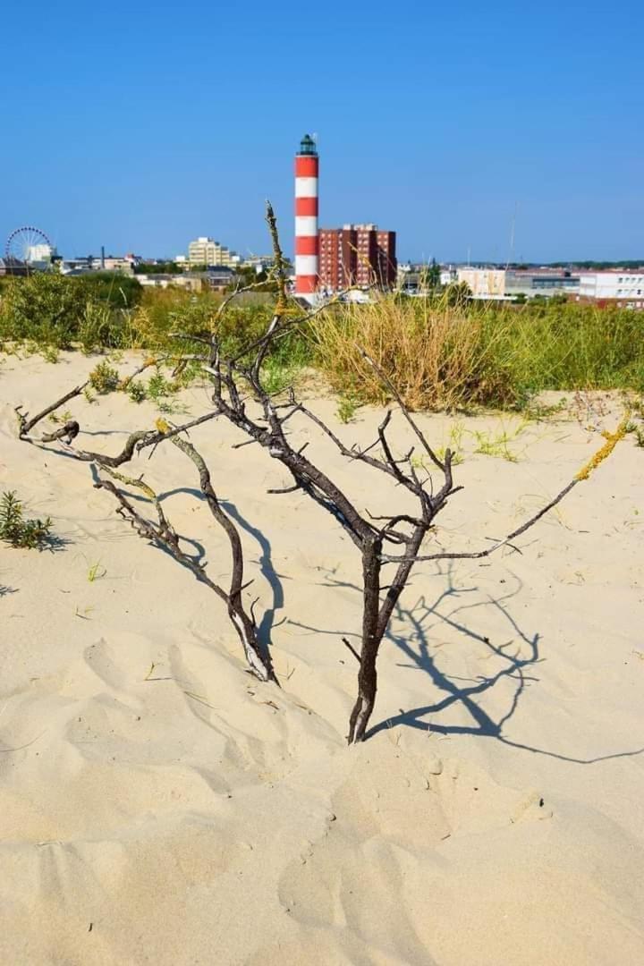 L'Alteia - L'Appartement Les Pieds Dans L'Eau Avec Place De Parking Prive Et Acces Direct A La Plage Berck Zewnętrze zdjęcie